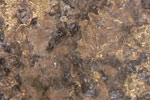 Travertine